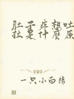 肚子疼想吐又想拉是什么原因