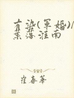 有染(军婚)/叶落淮南封面