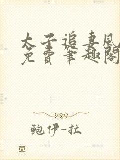 太子追妻风烟起免费笔趣阁封面