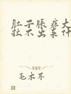 肚子胀疼大便又拉不出来什么原因