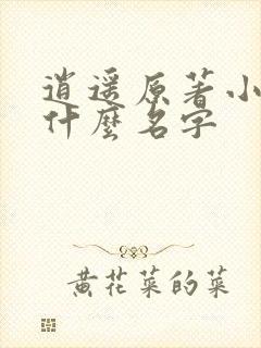 逍遥原著小说叫什么名字