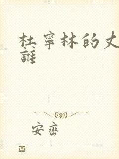 杜宁林的丈夫是谁