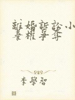 离婚诉讼小孩抚养权争夺