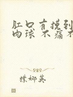 肛口有摸到一颗肉球 不痛不痒