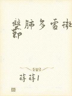 双肺多处微小结节