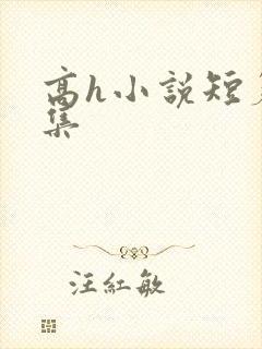 高h小说短篇合集