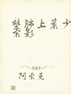 双肺上叶少许条索影