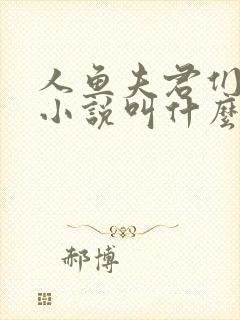 人鱼夫君们原著小说叫什么名字封面