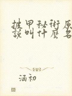 披甲秘术原著小说叫什么名字