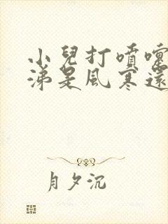 小儿打喷嚏流鼻涕是风寒还是风热封面