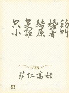 只是结婚的关系小说原著叫什么