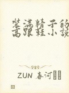 装满精子的丝袜高跟鞋小说