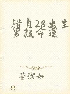腊月28出生的男孩命运
