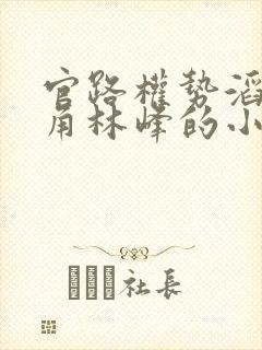 官路权势滔天主角林峰的小说全文阅读