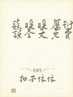 苏暖暖厉衍琛小说全文免费阅读