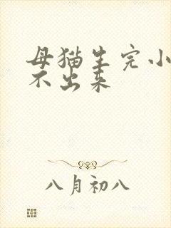 母猫生完小猫尿不出来