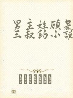 男主姓顾是女主三叔的小说封面