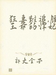 狂妻难追,腹黑王爷的悍妃封面