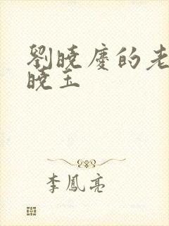 刘晓庆的老公王晓玉