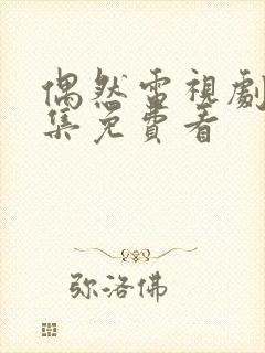 偶然电视剧40集免费看