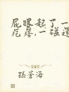 屁眼起了一个硬疙瘩,一碰还疼