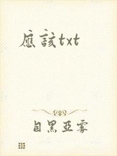 应该txt