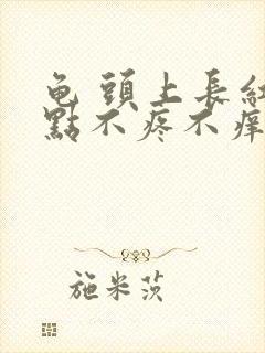 龟 头上长红点点不疼不痒