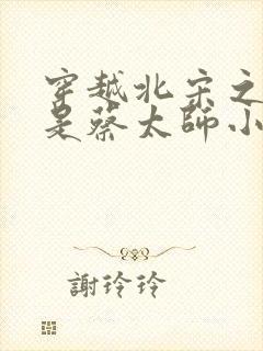 穿越北宋之我爹是蔡太师小说