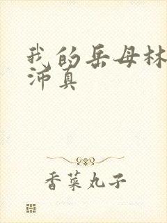 我的岳母林道苏沛真