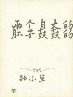 两个月大的小猫肚子鼓鼓的正常嘛