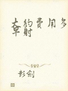 大约费用多少治早射