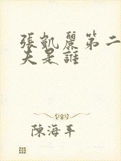 张凯丽第二任丈夫是谁封面