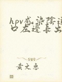 hpv感染阴道口左边长出长条淡粉色肉