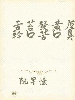 舌苔发黄厚腻口干口苦口臭的药