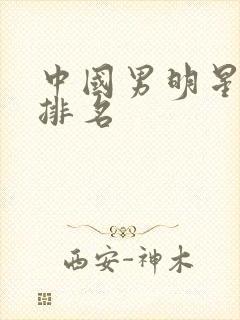 中国男明星人气排名