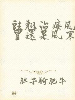 豉翘治疗风热感冒还是风寒感冒