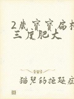 2岁宝宝扁桃体三度肥大