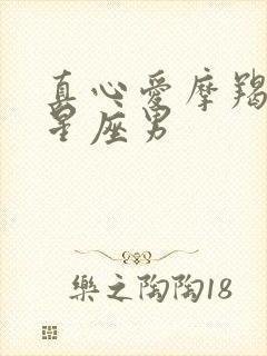 真心爱摩羯女的星座男