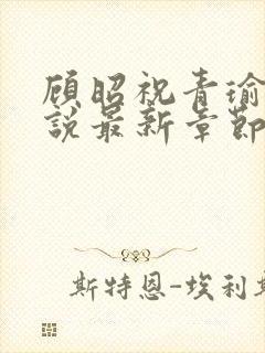 顾昭祝青瑜的小说最新章节免费阅读