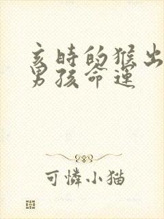 亥时的猴出生的男孩命运封面