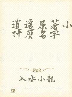 逍遥原著小说叫什么名字