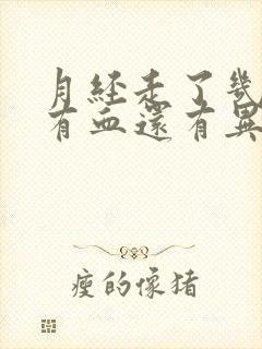 月经走了几天又有血还有异味