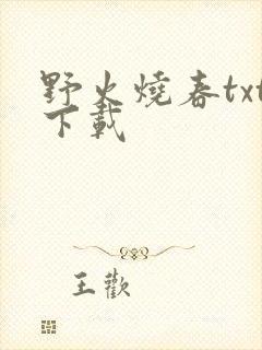 野火烧春txt下载封面