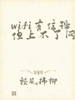 wifi有信号但上不了网怎么办