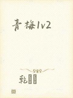 青梅1v2封面