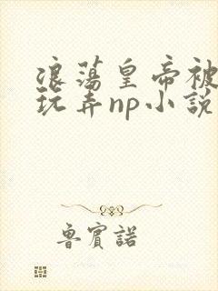 浪荡皇帝被多人玩弄np小说封面