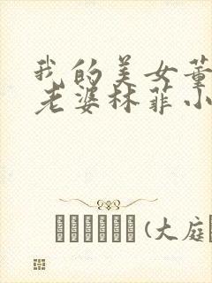 我的美女董事长老婆林菲小说