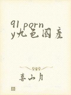 91 porny九色国产