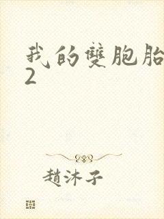 我的双胞胎姐妹2