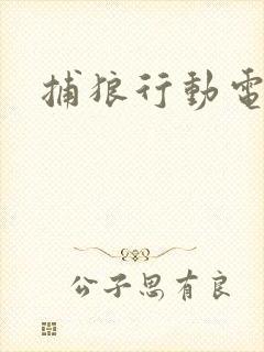 捕狼行动电视剧